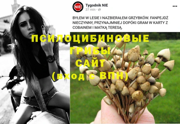 твердый Михайловка