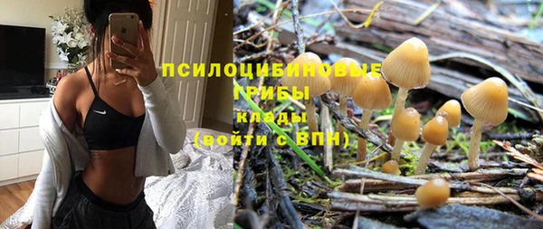 твердый Михайловка
