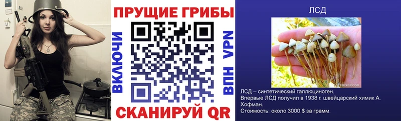 Псилоцибиновые грибы мухоморы  наркошоп  Уссурийск 